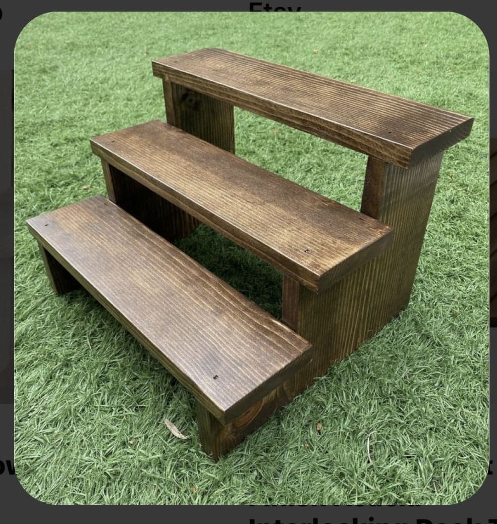 Stage, 3 Step Rail Stairway