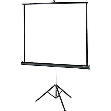 Projection Screen (50” x 6’ tripod)